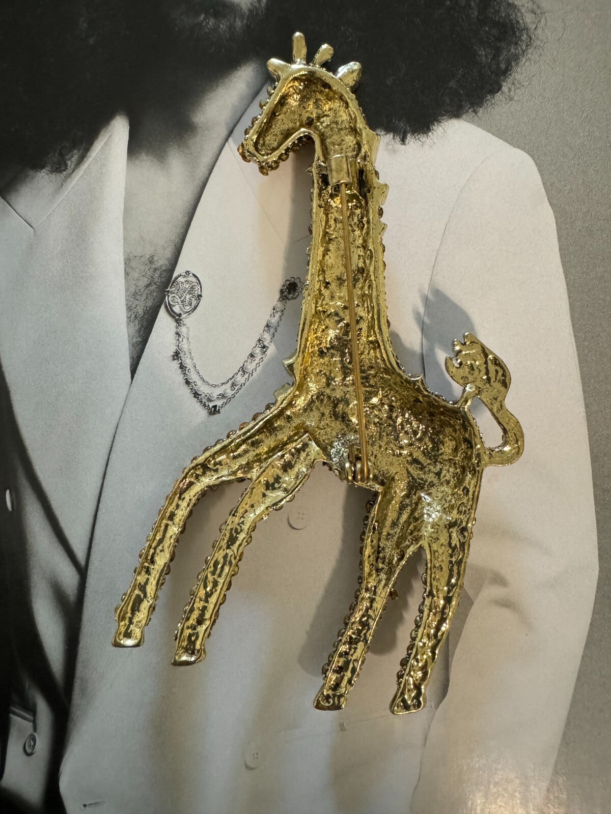 Giraffe  Brooch  Gift Box Women Man Unisex Pin  Free  Shipping 2-5 Days Animal