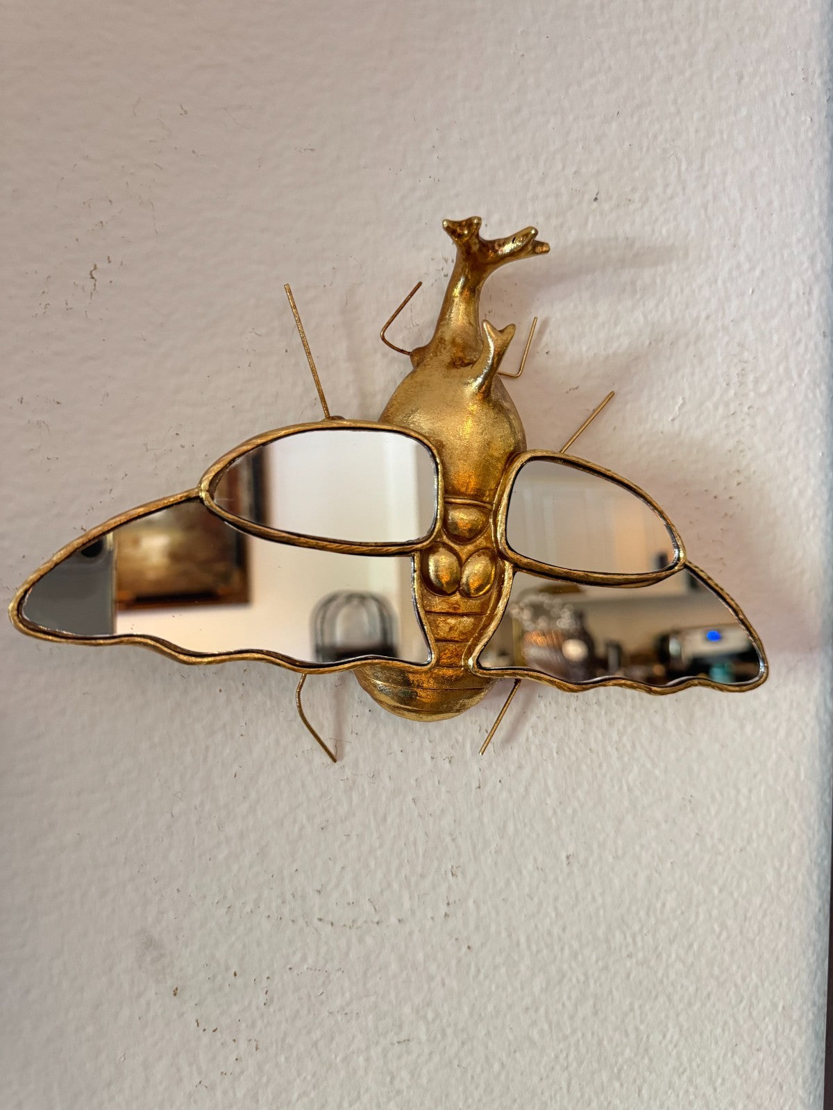 Resin Insect Wall Mirror – Beetle Bug Design with Mirrored Wings, 10”x7”,