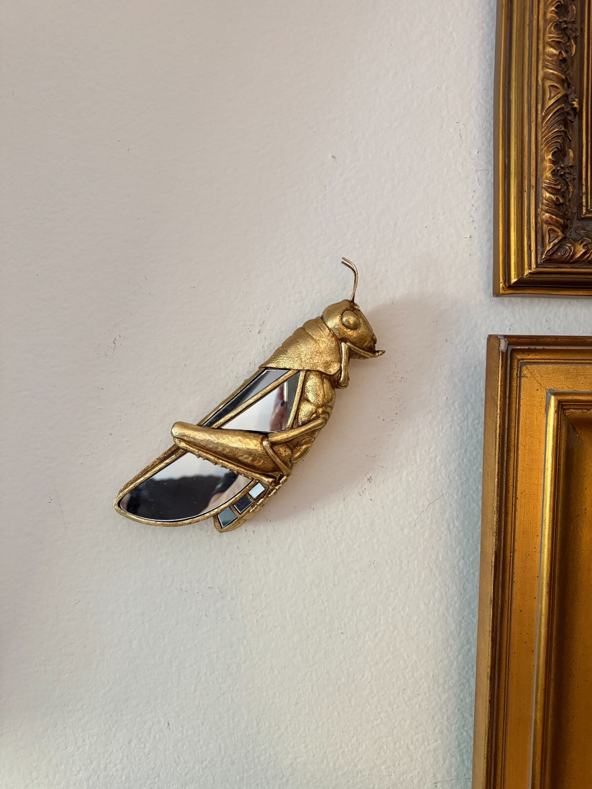 Resin Gold-Plated Grasshopper Mirror Wall Art - Unique Decorative Hanging