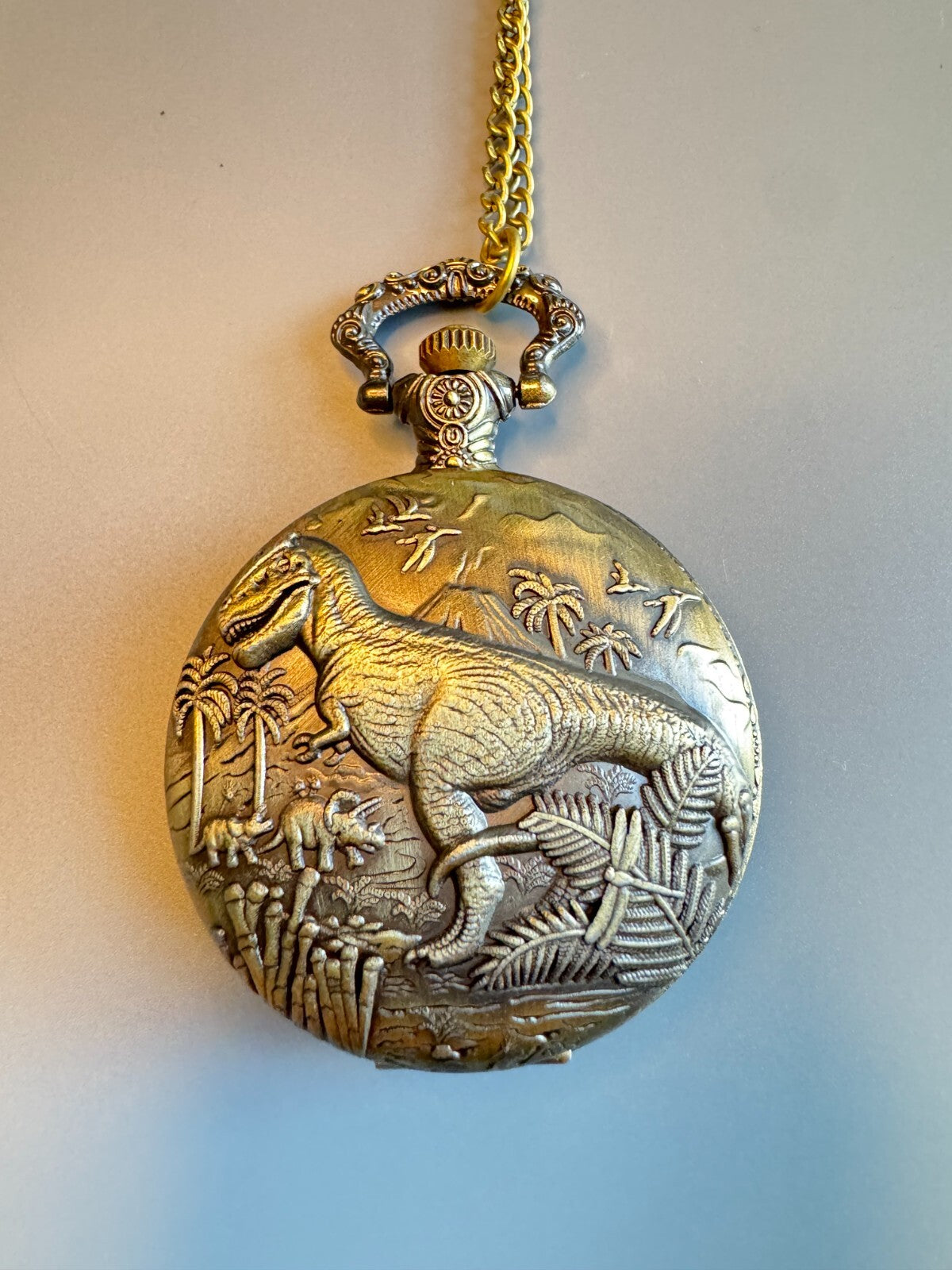 Bronze Dinosaur Embossed Pocket Watch. With Chain.Unisex . Gift and Souvenir