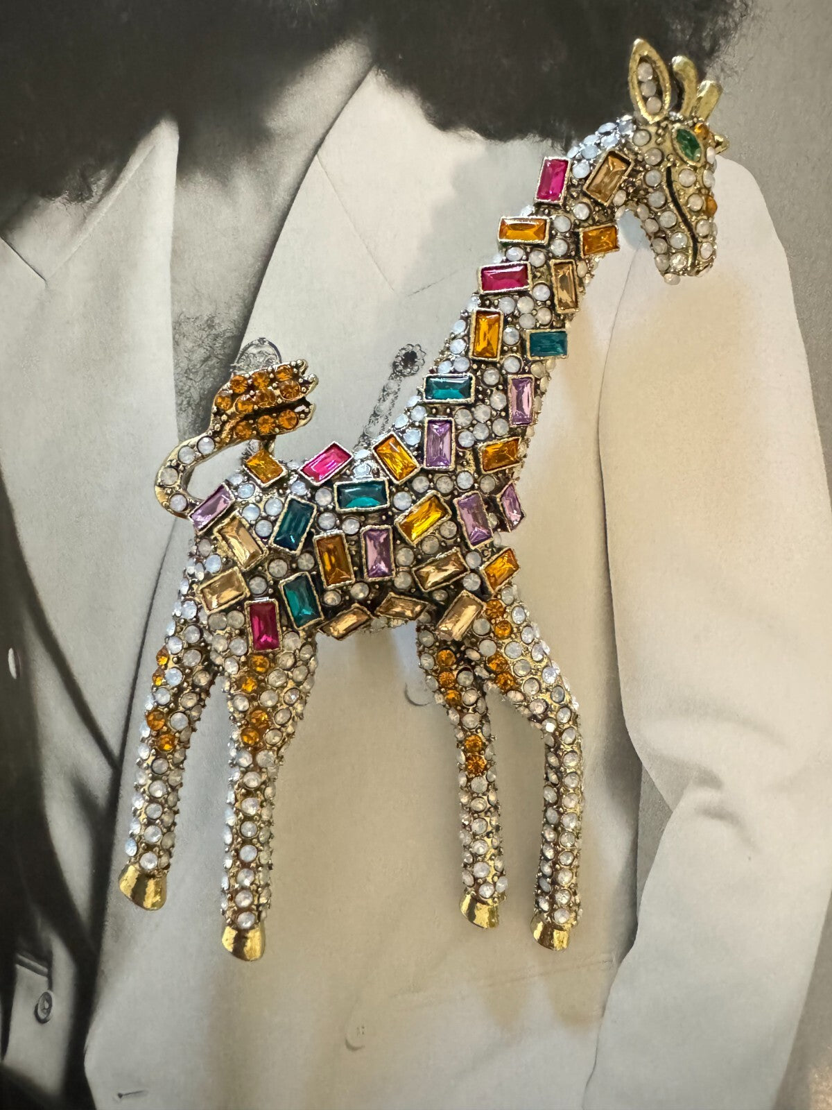 Giraffe  Brooch  Gift Box Women Man Unisex Pin  Free  Shipping 2-5 Days Animal