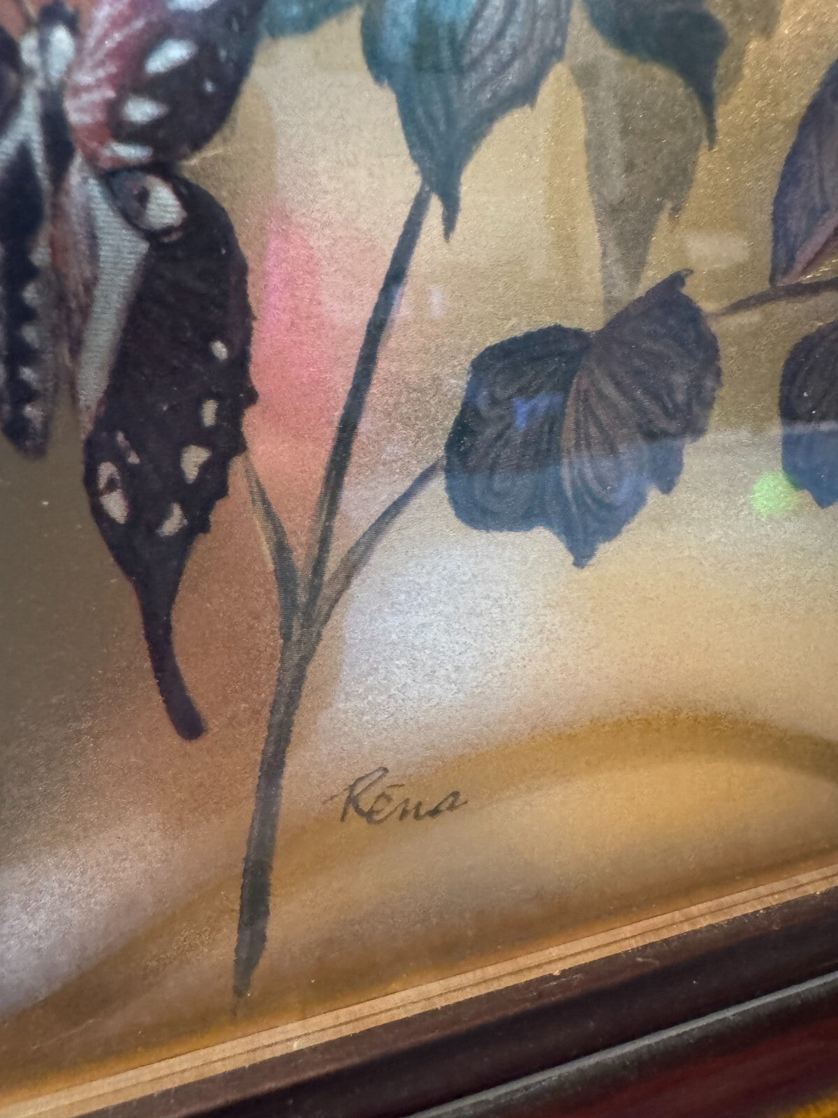 Vintage 19x16 Framed Bird & Butterfly Print by Rena – Nature Wall Art