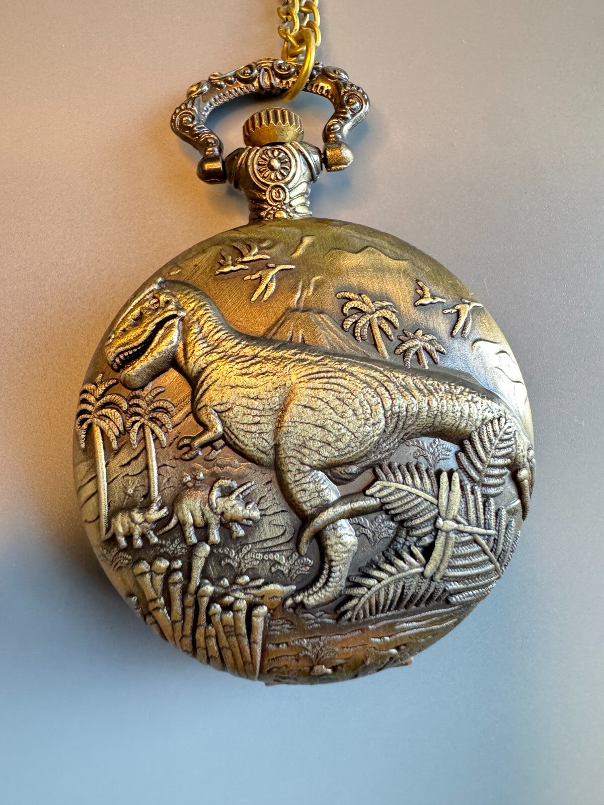 Bronze Dinosaur Embossed Pocket Watch. With Chain.Unisex . Gift and Souvenir