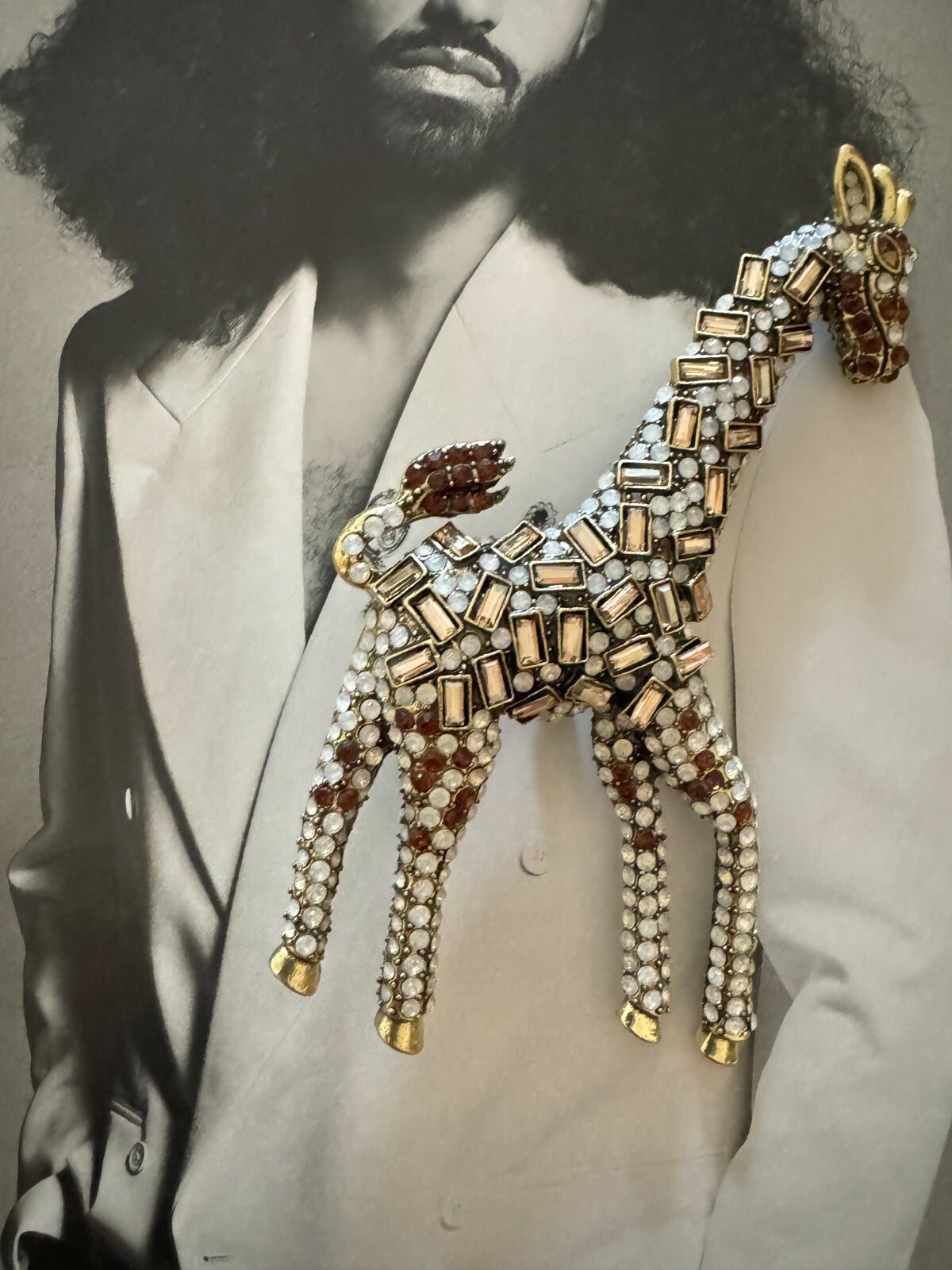 Giraffe  Brooch  Gift Box Women Man Unisex Pin  Free  Shipping 2-5 Days Animal