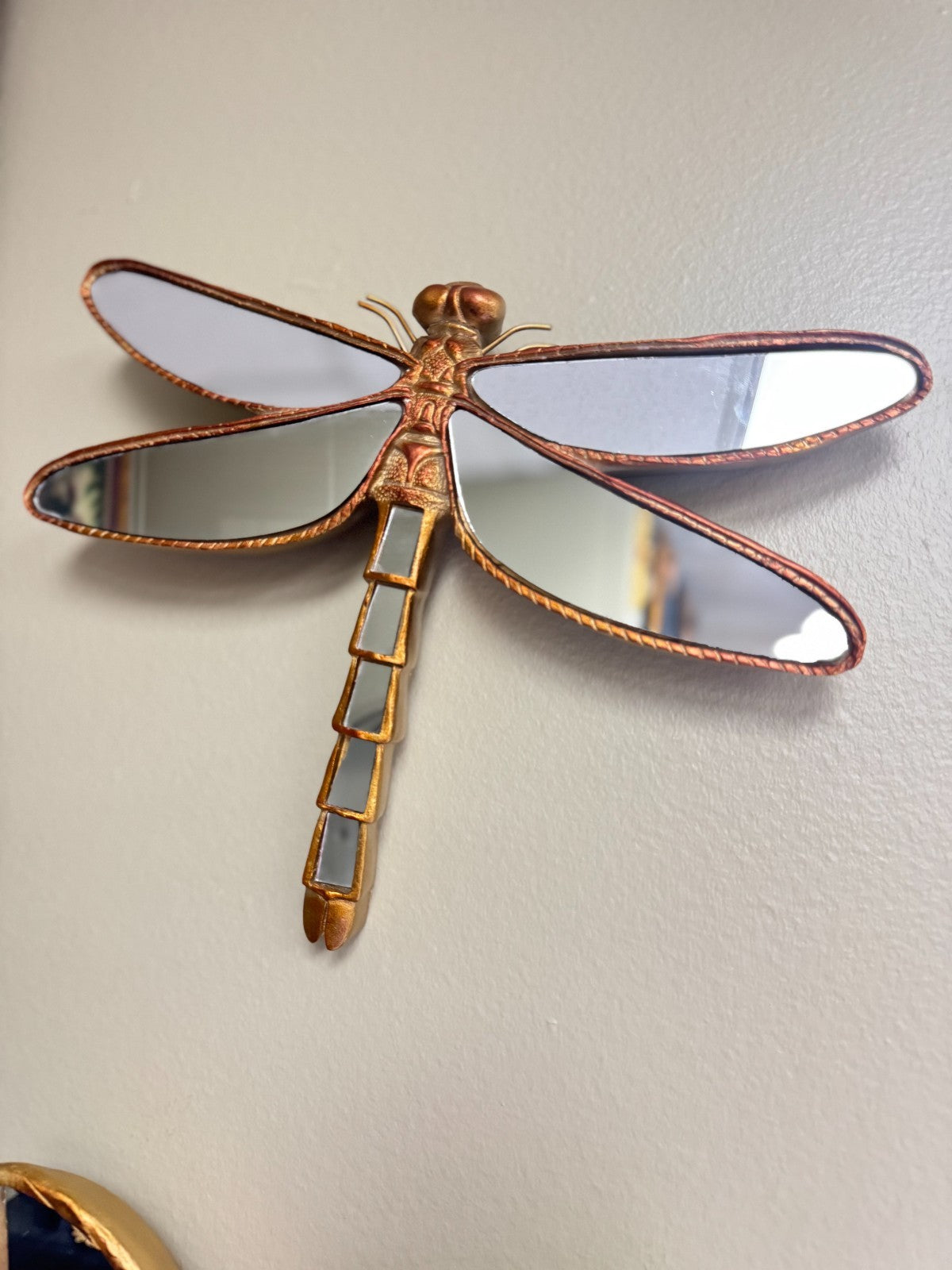 Set of 2 Resin Wall Mirrors – Dragonfly & Butterfly Insect Design, Gold Finish,