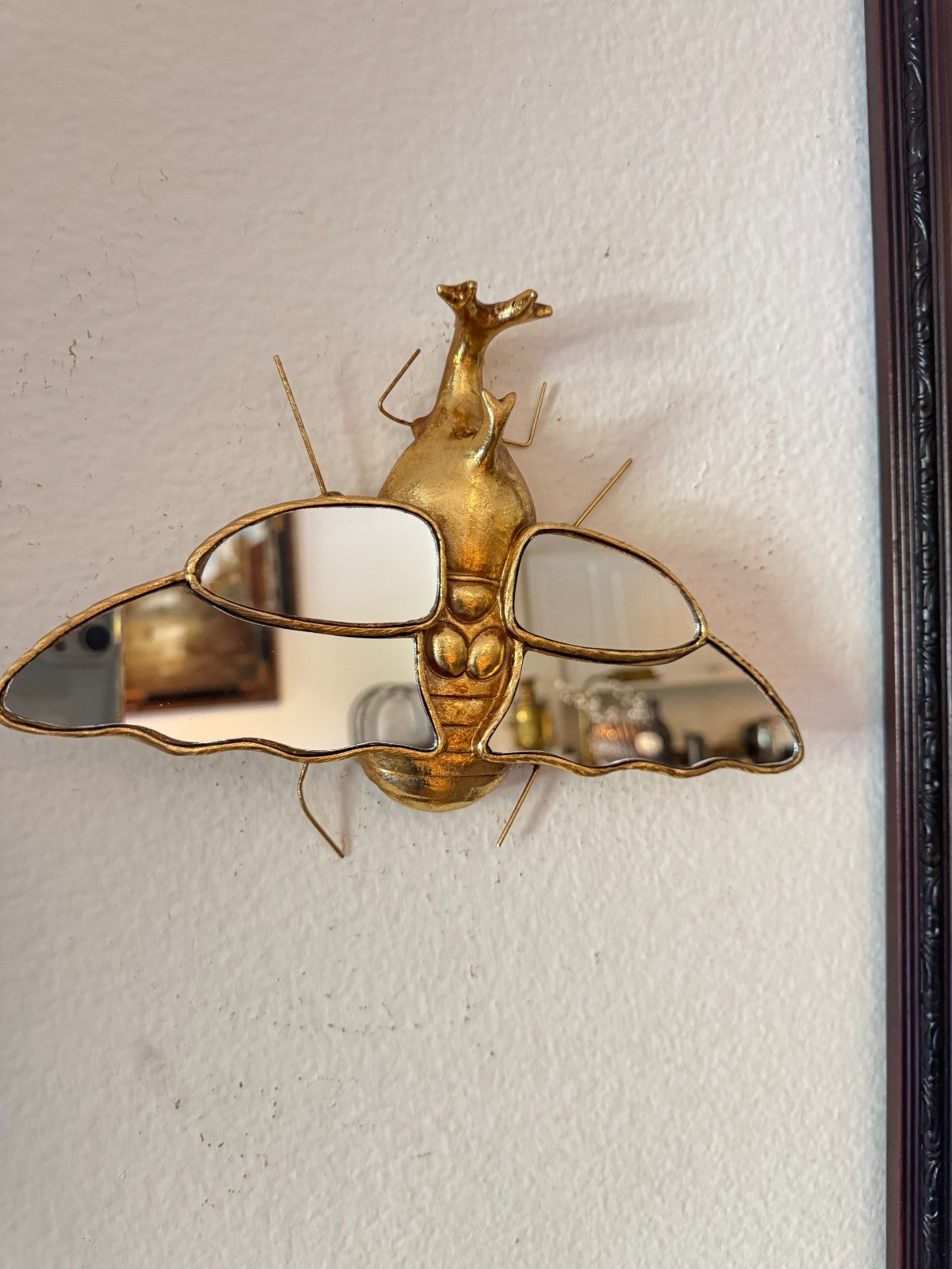 Resin Insect Wall Mirror – Beetle Bug Design with Mirrored Wings, 10”x7”,