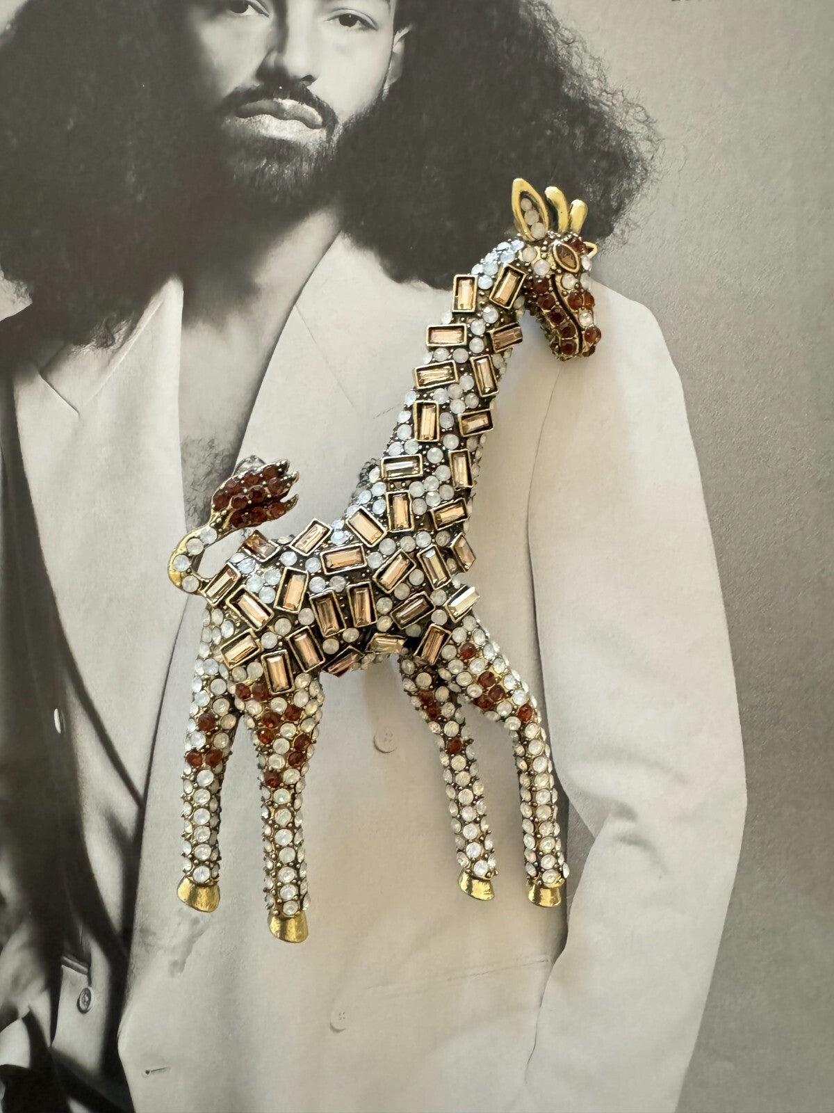 Giraffe  Brooch  Gift Box Women Man Unisex Pin  Free  Shipping 2-5 Days Animal