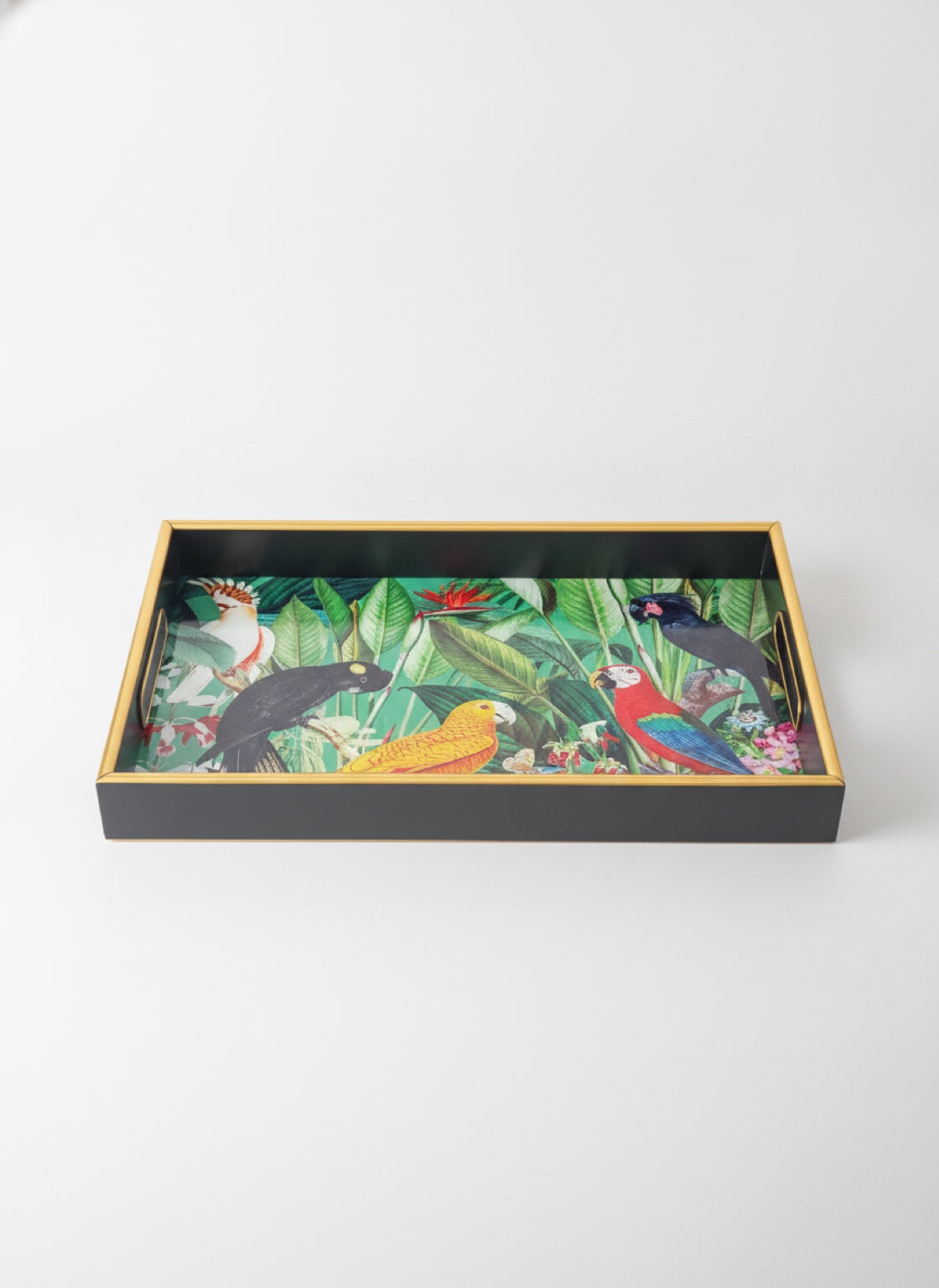 Tropical Parrot Bird Decorative Serving Tray Gold Black 15” x 10”