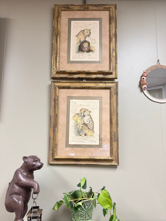 Set of 2 Framed Big Cats Art Prints – Lions & Cheetahs, Numbered Limited Edition, Vintage Style Wildlife Wall Art