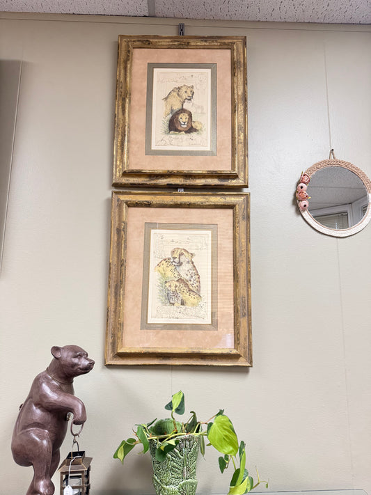 Set of 2 Framed Big Cats Art Prints – Lions & Cheetahs, Numbered Limited Edition, Vintage Style Wildlife Wall Art