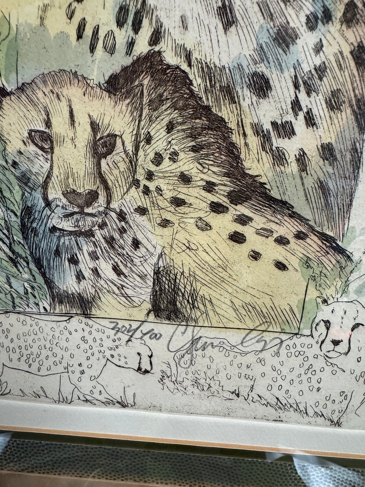 Set of 2 Framed Big Cats Art Prints – Lions & Cheetahs, Numbered Limited Edition, Vintage Style Wildlife Wall Art