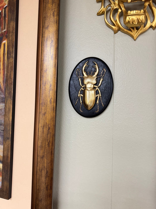 Gold Stag Beetle Wall Decor Plaque – Resin Insect Sculpture Gothic Style Black Oval Hanging