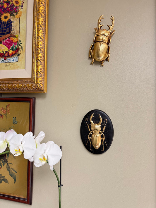 Set of 2 Gold Beetles Wall Decor Sculpture – Vintage Style Insect Inspired Wall Accent Home Decor