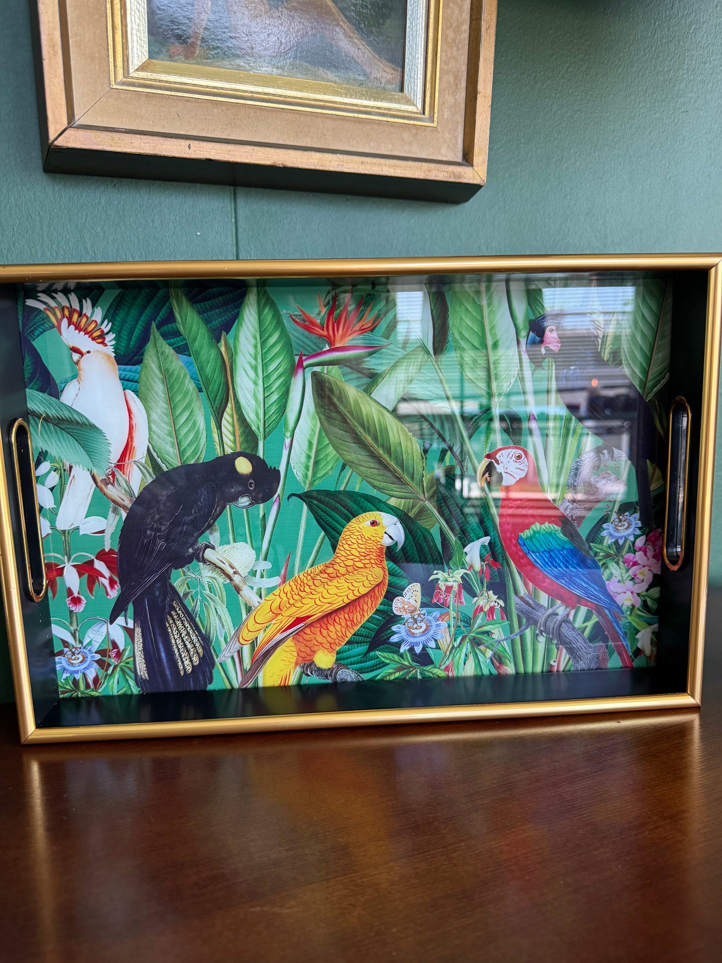 Tropical Parrot Bird Decorative Serving Tray Gold Black 15” x 10”