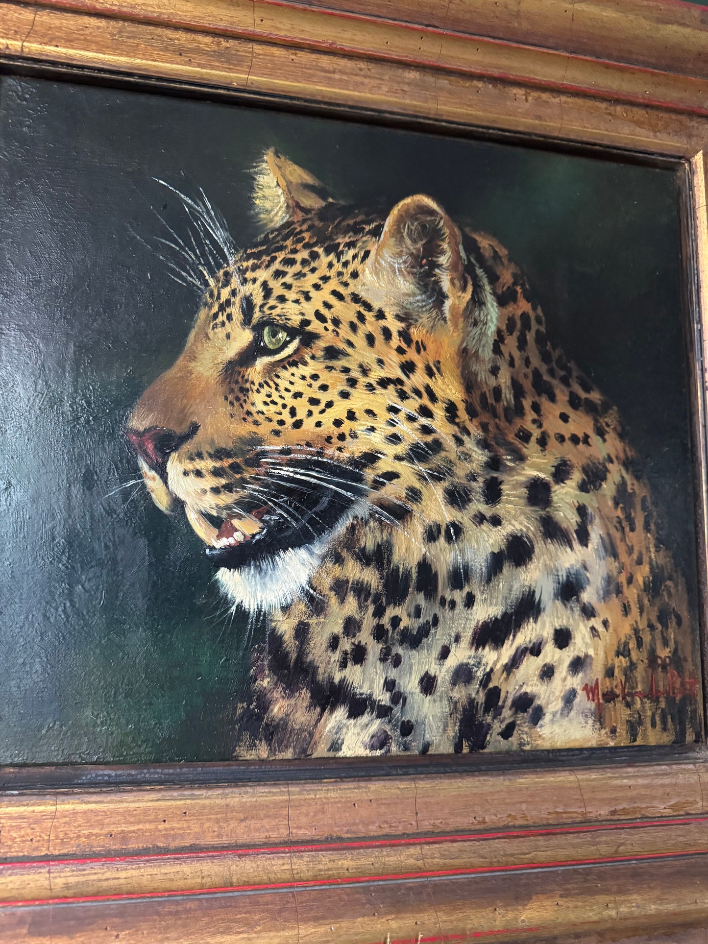 Original Signed South African Leopard Oil Painting in Ornate Gold Frame 26"x23"