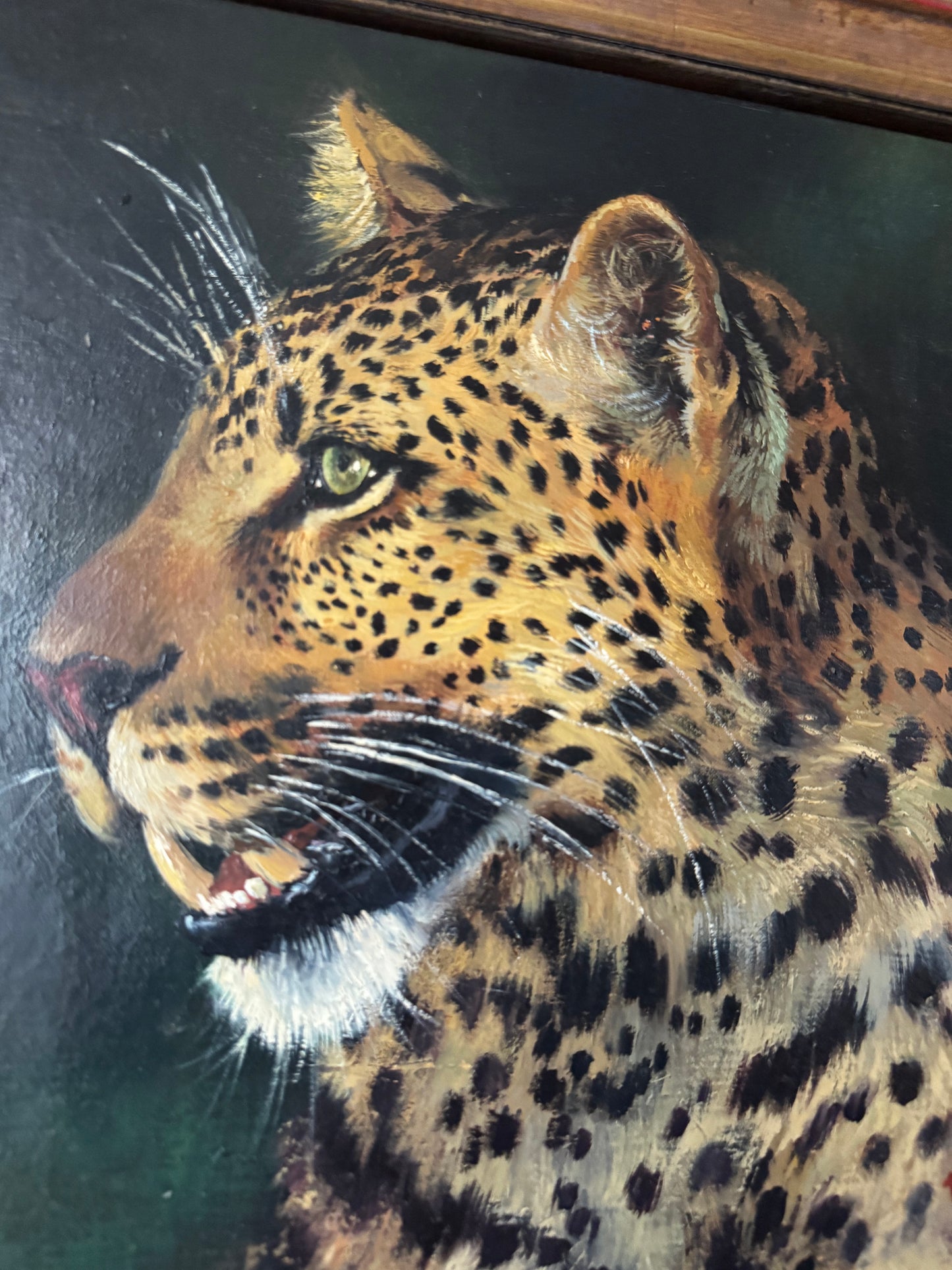Original Signed South African Leopard Oil Painting in Ornate Gold Frame 26"x23"