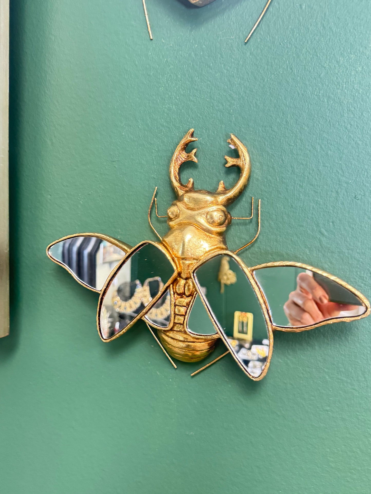 🪲 Set of 2 Mirrored Beetle Wall Sculptures – Rhinoceros Beetle & Stag Beetle