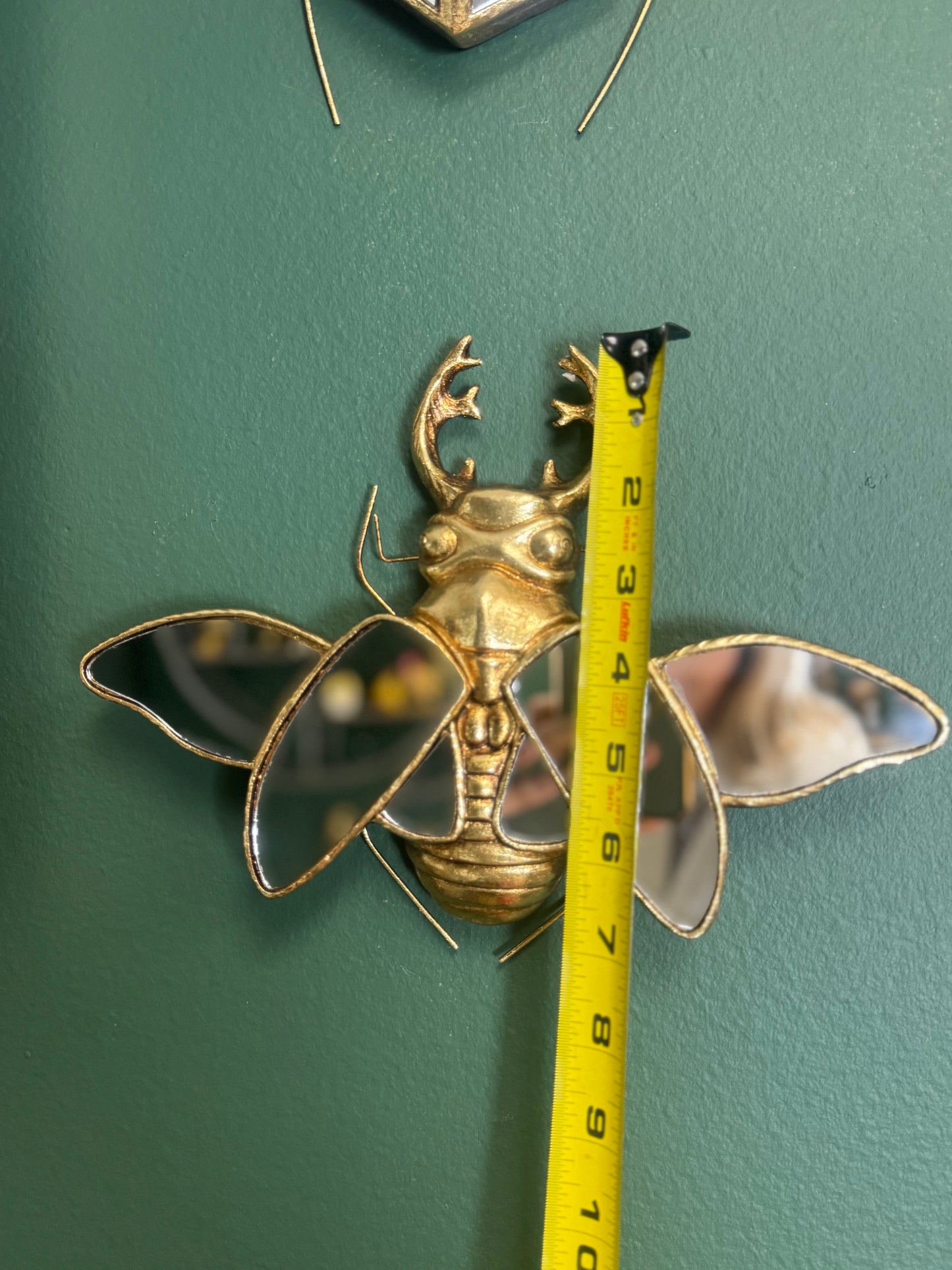 🪲 Set of 2 Mirrored Beetle Wall Sculptures – Rhinoceros Beetle & Stag Beetle